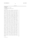 RECOMBINANT FELINE LEUKEMIA VIRUS VACCINE CONTAINING OPTIMIZED FELINE     LEUKEMIA VIRUS ENVELOPE GENE diagram and image