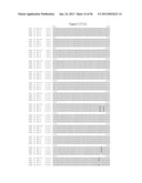 RECOMBINANT FELINE LEUKEMIA VIRUS VACCINE CONTAINING OPTIMIZED FELINE     LEUKEMIA VIRUS ENVELOPE GENE diagram and image