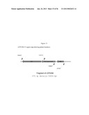 RECOMBINANT FELINE LEUKEMIA VIRUS VACCINE CONTAINING OPTIMIZED FELINE     LEUKEMIA VIRUS ENVELOPE GENE diagram and image