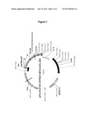 NEW COMPOSITION AND METHODS FOR TREATMENT OF AUTOIMMUNE AND ALLERGIC     DISEASES diagram and image