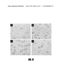 POLYMERS FOR REVERSING HEPARIN-BASED ANTICOAGULATION diagram and image