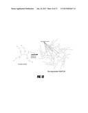 POLYMERS FOR REVERSING HEPARIN-BASED ANTICOAGULATION diagram and image