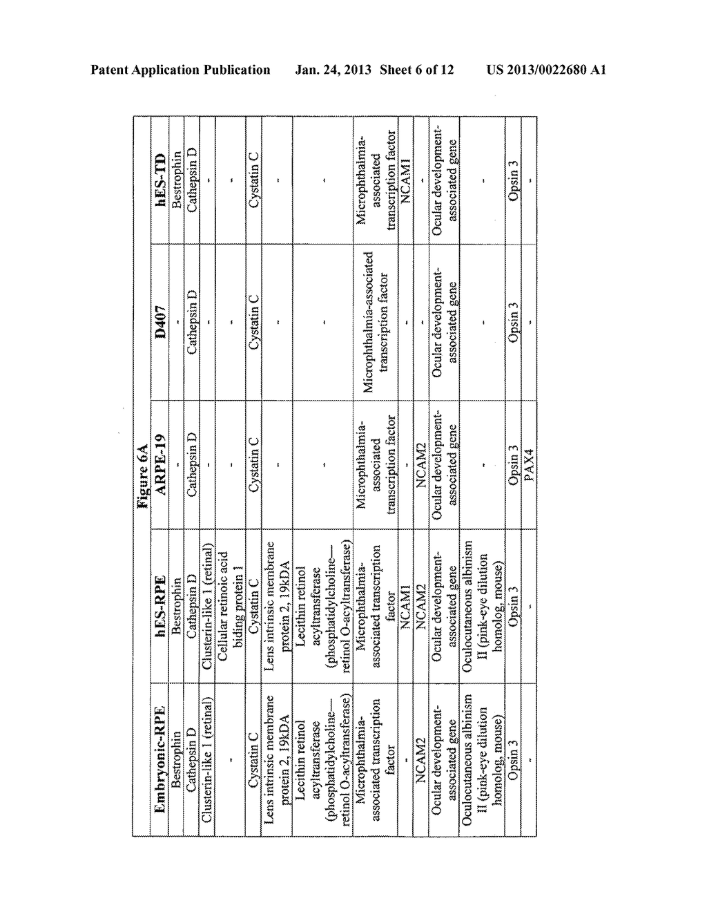 Modalities for the treatment of degenerative diseases of the retina - diagram, schematic, and image 07