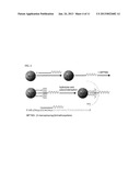 Ultra-Stable Oligonucleotide-Gold And-Silver Nanoparticle Conjugates And     Method Of Their Preparation diagram and image