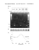 Ultra-Stable Oligonucleotide-Gold And-Silver Nanoparticle Conjugates And     Method Of Their Preparation diagram and image