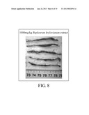 METHOD FOR TREATING OR RELIEVING INFLAMMATORY BOWEL DISEASE diagram and image