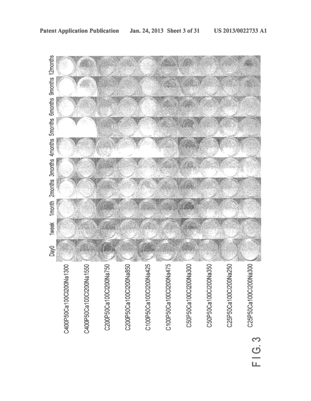 CALCIUM PREPARATION AND METHOD OF PRODUCTION THEREOF - diagram, schematic, and image 04