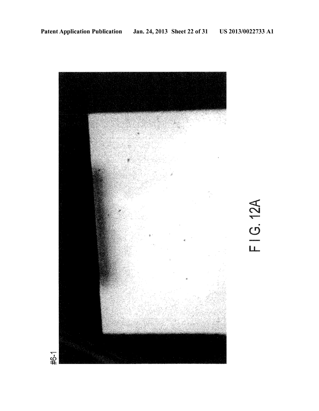 CALCIUM PREPARATION AND METHOD OF PRODUCTION THEREOF - diagram, schematic, and image 23