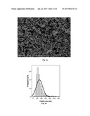 Method for Producing Polymer-Encapsulated Nanoparticles diagram and image