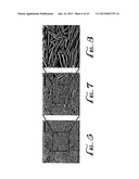 UNIVERSAL SOLUTION FOR GROWING THIN FILMS OF ELECTRICALLY CONDUCTIVE     NANOSTRUCTURES diagram and image