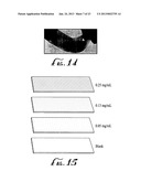 UNIVERSAL SOLUTION FOR GROWING THIN FILMS OF ELECTRICALLY CONDUCTIVE     NANOSTRUCTURES diagram and image