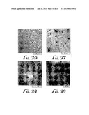 UNIVERSAL SOLUTION FOR GROWING THIN FILMS OF ELECTRICALLY CONDUCTIVE     NANOSTRUCTURES diagram and image