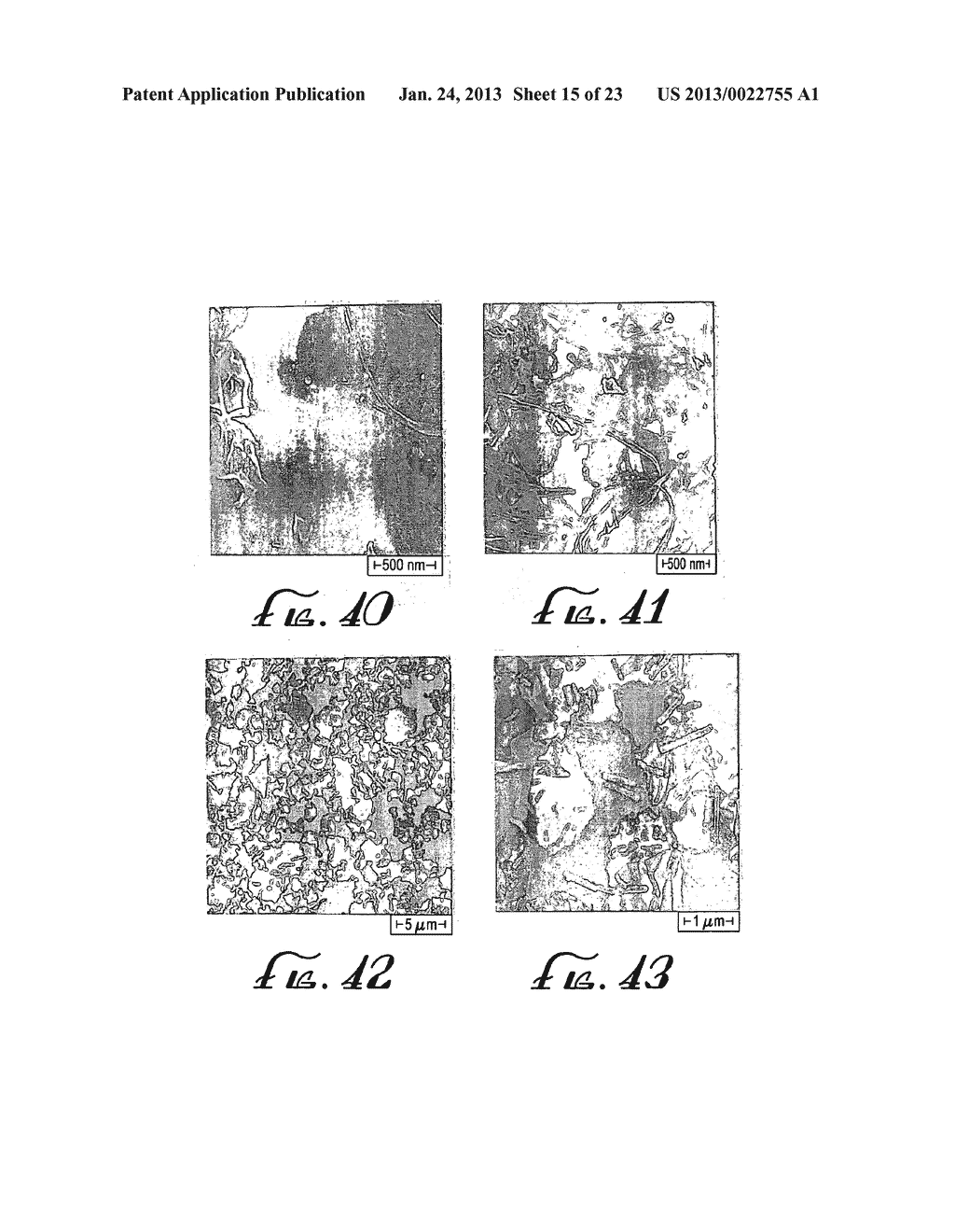 UNIVERSAL SOLUTION FOR GROWING THIN FILMS OF ELECTRICALLY CONDUCTIVE     NANOSTRUCTURES - diagram, schematic, and image 16