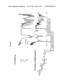 OLIGOSACCHARIDE/SILICON-CONTAINING BLOCK COPOLYMERS FOR LITHOGRAPHY     APPLICATIONS diagram and image