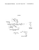 OLIGOSACCHARIDE/SILICON-CONTAINING BLOCK COPOLYMERS FOR LITHOGRAPHY     APPLICATIONS diagram and image