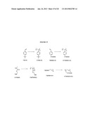 OLIGOSACCHARIDE/SILICON-CONTAINING BLOCK COPOLYMERS FOR LITHOGRAPHY     APPLICATIONS diagram and image