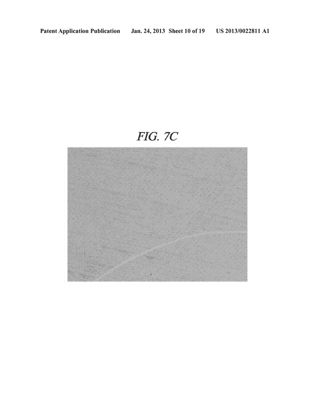 STABLE GRAPHENE FILM AND PREPARING METHOD OF THE SAME - diagram, schematic, and image 11