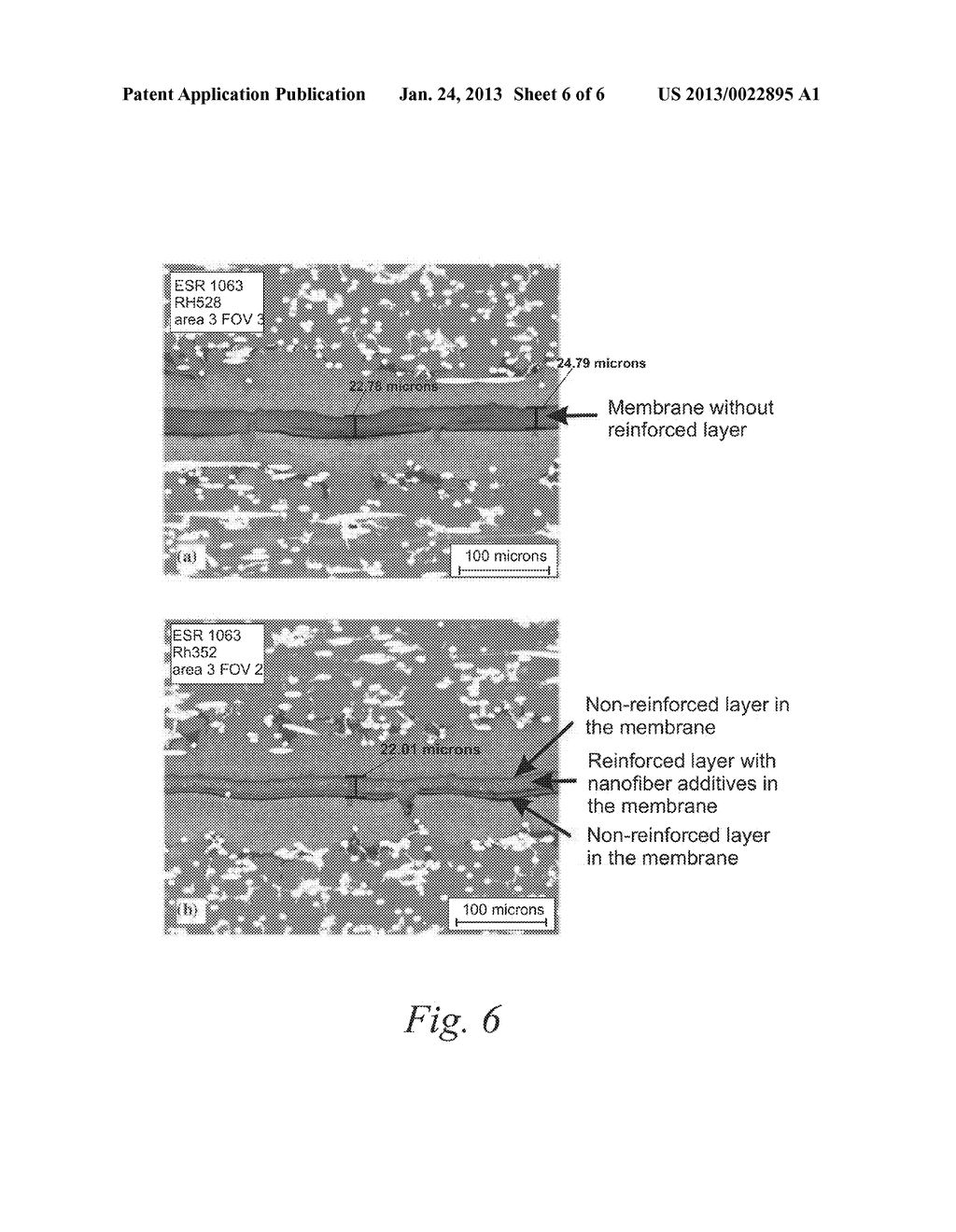 Membrane with Laminated Structure and Orientation Controlled Nanofiber     Reinforcement Additives for Fuel Cells - diagram, schematic, and image 07