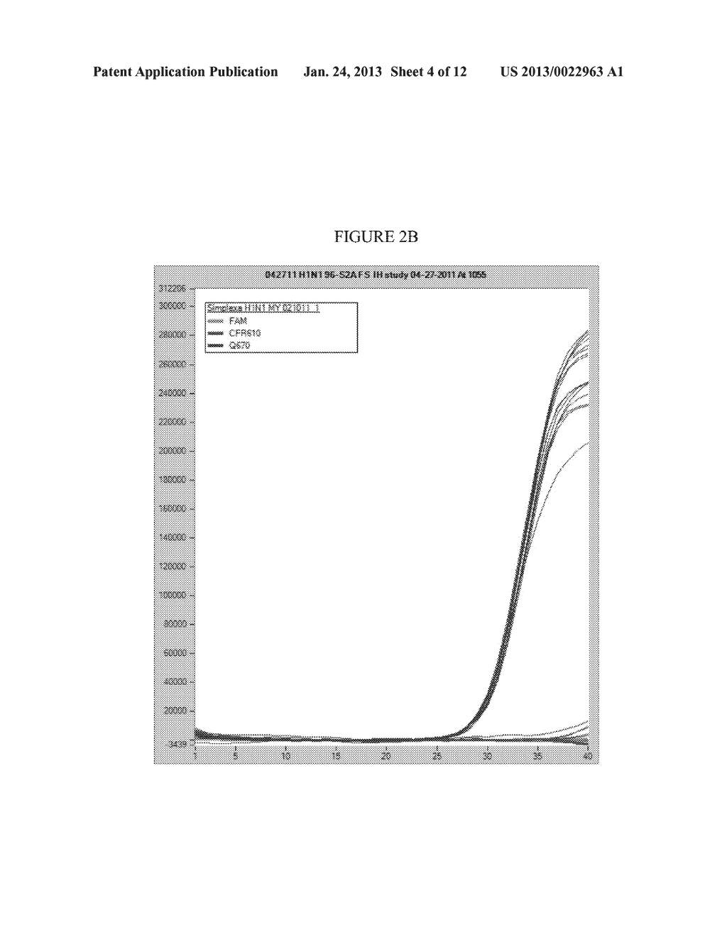 DIRECT AMPLIFICATION AND DETECTION OF VIRAL AND BACTERIAL PATHOGENS - diagram, schematic, and image 05