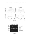 NUCLEIC ACID MOLECULE HAVING AFFINITY TO RODENT-DERIVED IgG ANTIBODY,     BINDER, DETECTION REAGENT, AND DETECTION KIT diagram and image