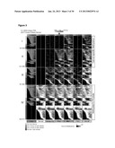 DNA METHYLATION PROFILES IN CANCER diagram and image