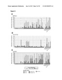 DNA METHYLATION PROFILES IN CANCER diagram and image