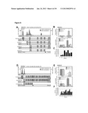 DNA METHYLATION PROFILES IN CANCER diagram and image