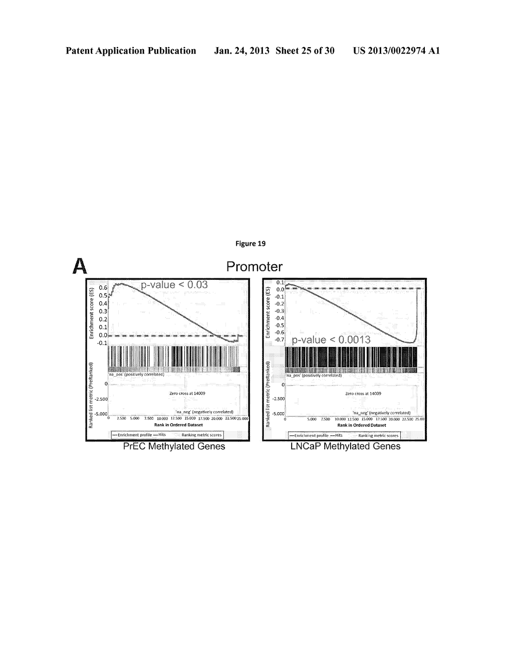 DNA METHYLATION PROFILES IN CANCER - diagram, schematic, and image 26