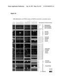 DNA METHYLATION PROFILES IN CANCER diagram and image