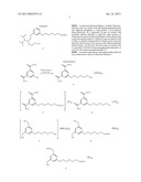 HYPERTHERMOSTABLE  ENDONUCLEASE IV SUBSTRATE PROBE diagram and image