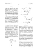 HYPERTHERMOSTABLE  ENDONUCLEASE IV SUBSTRATE PROBE diagram and image