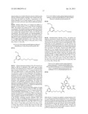 HYPERTHERMOSTABLE  ENDONUCLEASE IV SUBSTRATE PROBE diagram and image