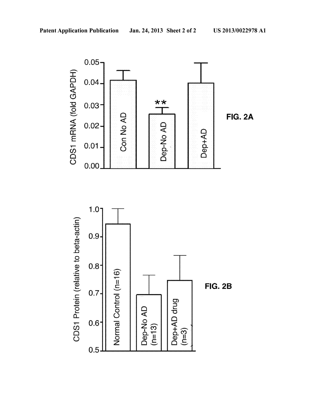 Measurement of Brain CDP-Diacylglycerol Synthase 1 Enzyme and Uses Thereof - diagram, schematic, and image 03