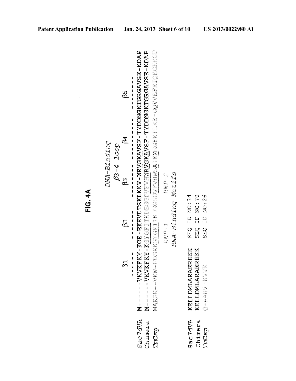 RNA- AND DNA-COPYING ENZYMES - diagram, schematic, and image 07