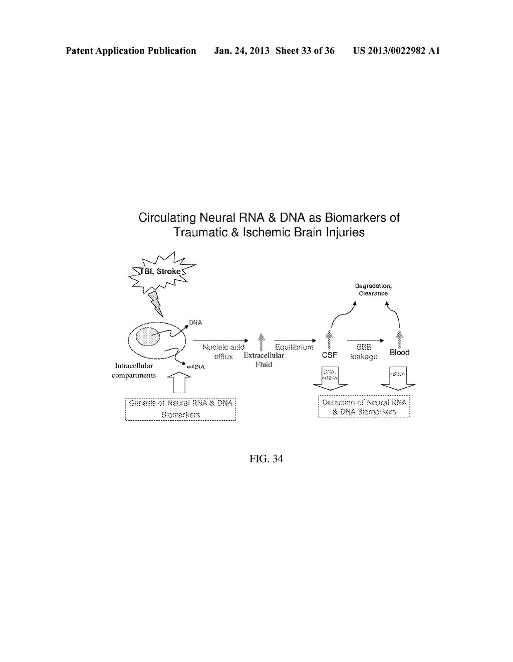 MICRO-RNA, AUTOANTIBODY AND PROTEIN MARKERS FOR DIAGNOSIS OF NEURONAL     INJURY - diagram, schematic, and image 34