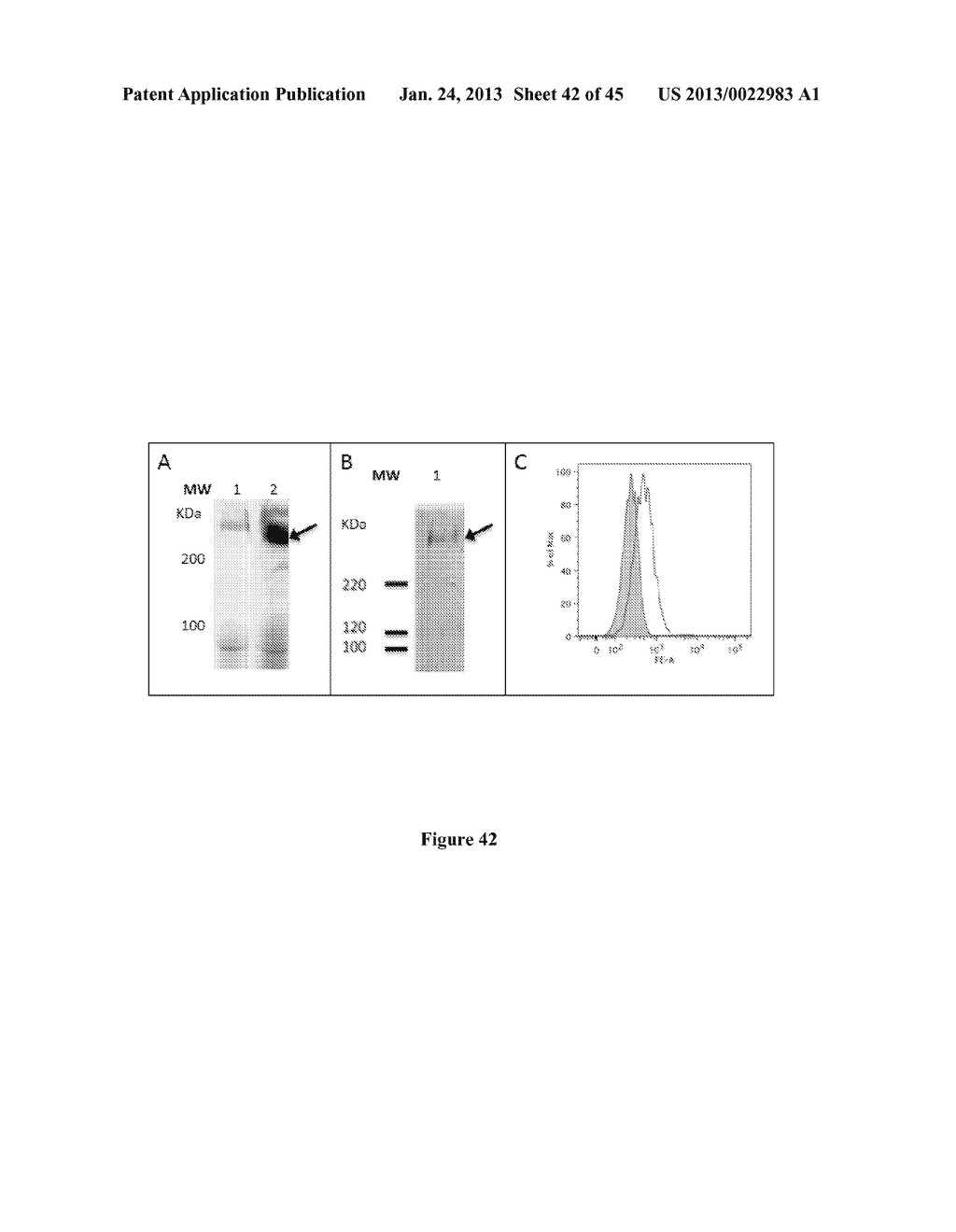 Colon and Rectal Tumor Markers and Methods of Use Thereof - diagram, schematic, and image 43