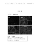 METHOD FOR MANUFACTURING PANCREATIC-HORMONE-PRODUCING CELLS diagram and image