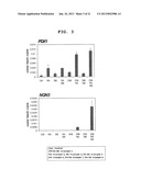 METHOD FOR MANUFACTURING PANCREATIC-HORMONE-PRODUCING CELLS diagram and image