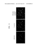 METHOD FOR MANUFACTURING PANCREATIC-HORMONE-PRODUCING CELLS diagram and image