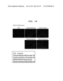 METHOD FOR MANUFACTURING PANCREATIC-HORMONE-PRODUCING CELLS diagram and image