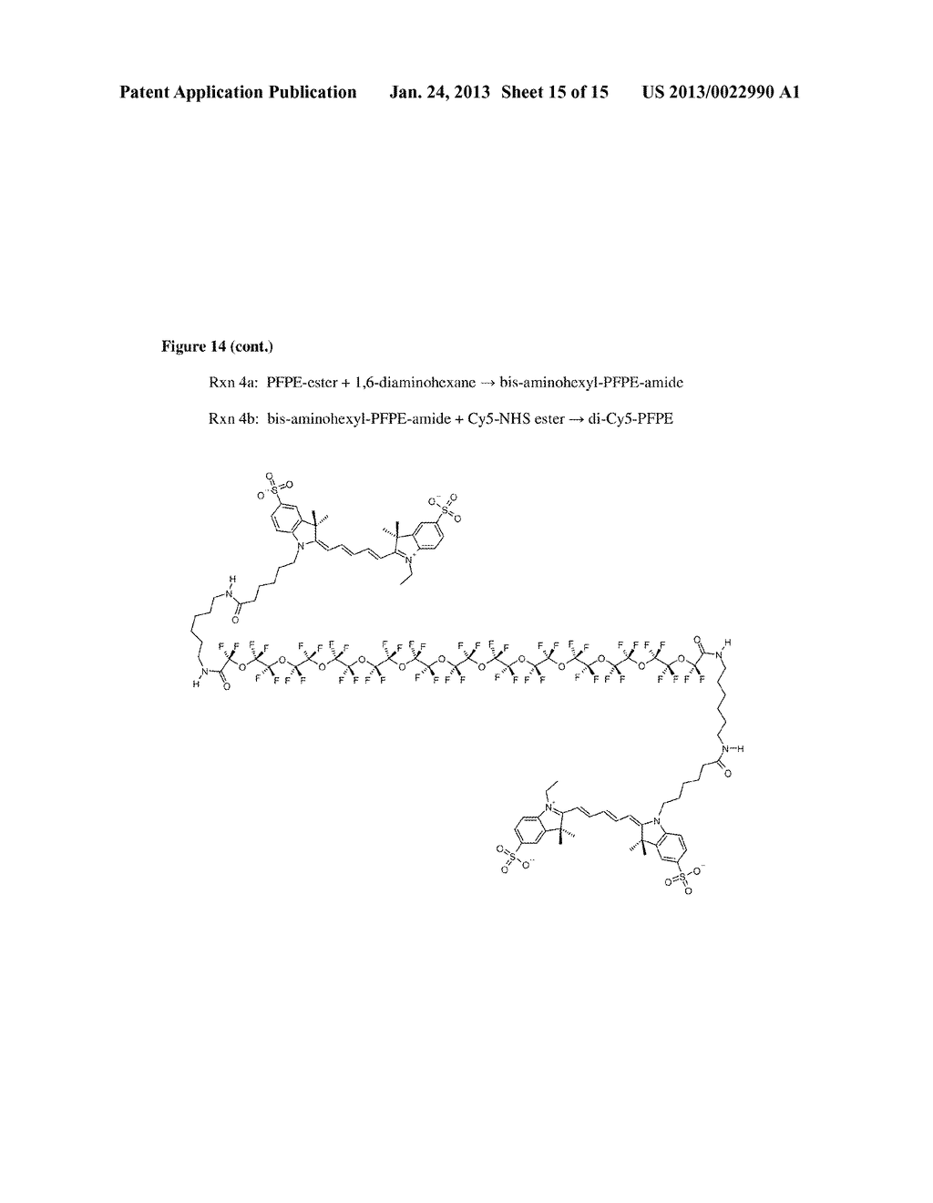 CELLULAR LABELING FOR NUCLEAR MAGNETIC RESONANCE TECHNIQUES - diagram, schematic, and image 16