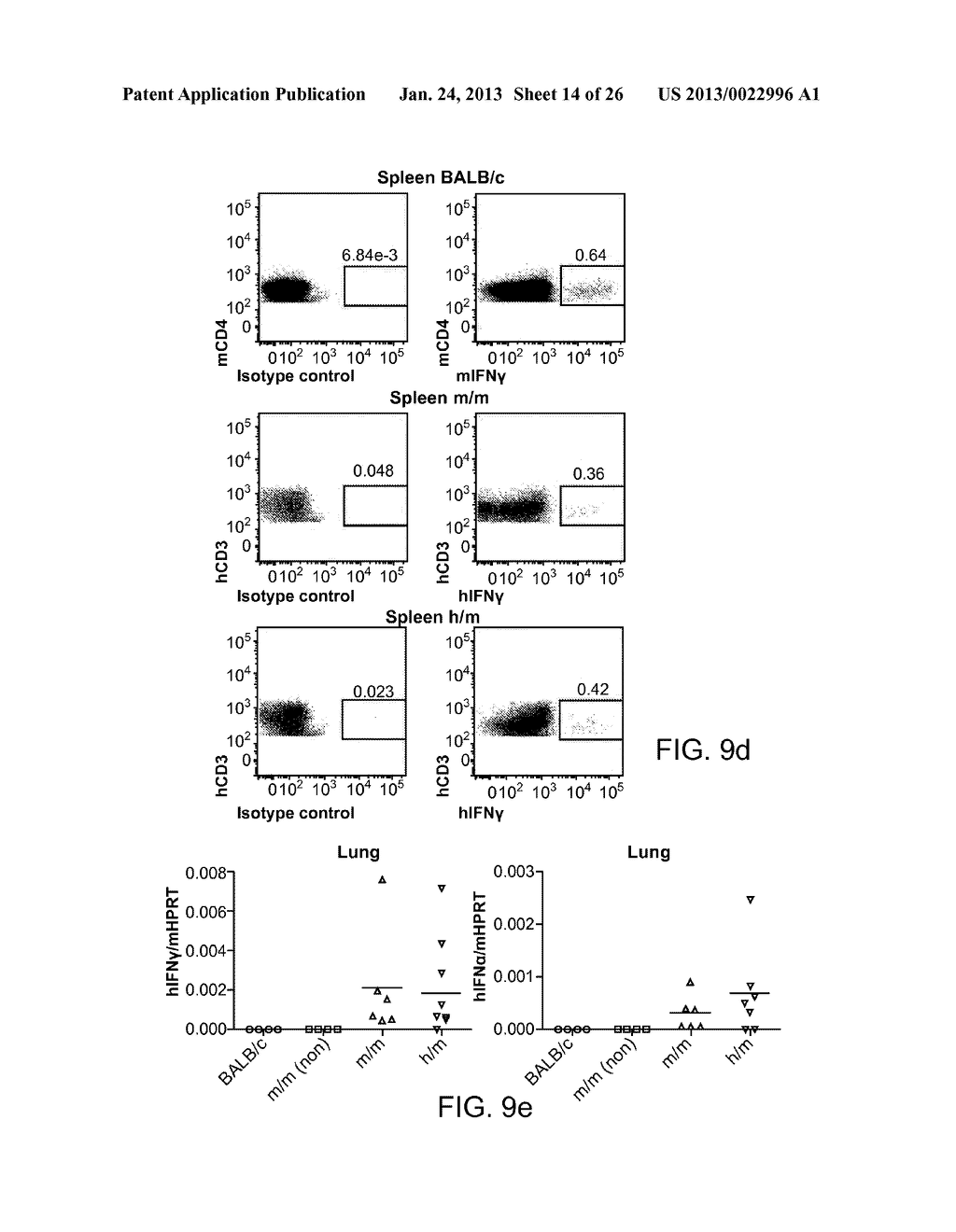 GENETICALLY MODIFIED MICE AND ENGRAFTMENT - diagram, schematic, and image 15