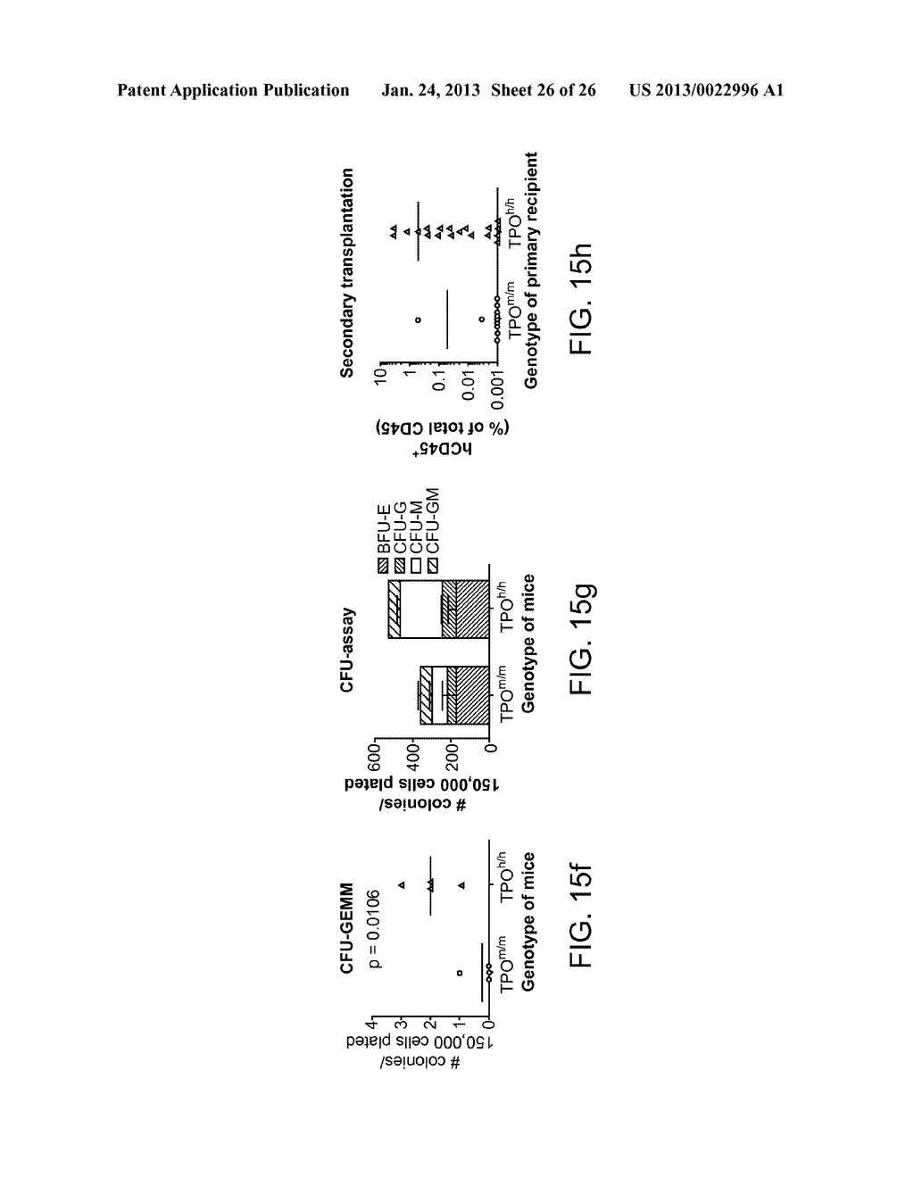 GENETICALLY MODIFIED MICE AND ENGRAFTMENT - diagram, schematic, and image 27