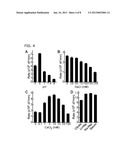 FLUOROGENIC SUBSTRATE FOR ADAMTS13 diagram and image