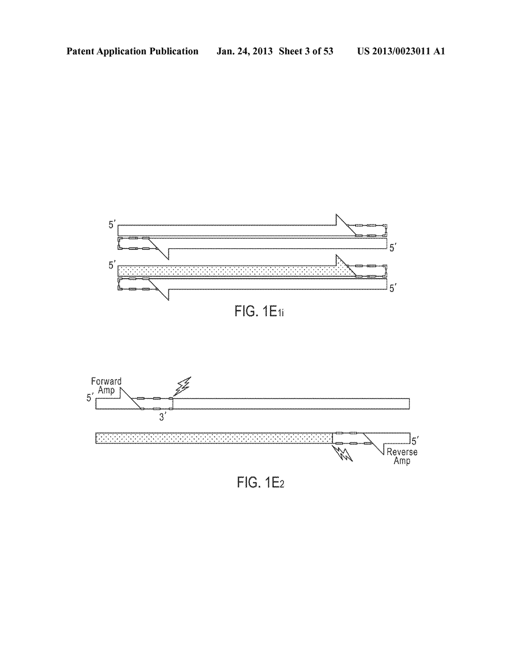 METHODS AND COMPOSITIONS FOR MULTIPLEX PCR - diagram, schematic, and image 04