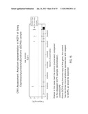 METHODS AND COMPOSITIONS FOR MULTIPLEX PCR diagram and image