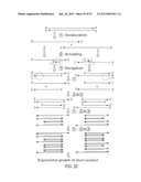 METHODS AND COMPOSITIONS FOR MULTIPLEX PCR diagram and image