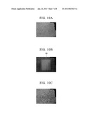 METHOD FOR SEPARATING CELLS, CELL CULTURE SUBSTRATE, AND DEVICE FOR     SEPARATING CELLS diagram and image