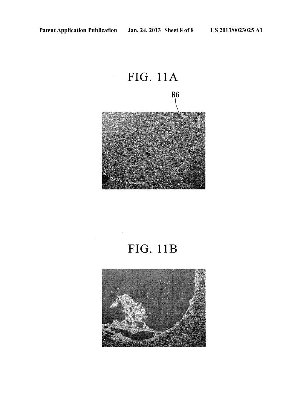 METHOD FOR SEPARATING CELLS, CELL CULTURE SUBSTRATE, AND DEVICE FOR     SEPARATING CELLS - diagram, schematic, and image 09