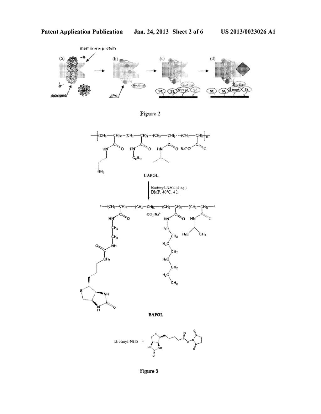 IMMOBILIZATION OF MEMBRANE PROTEINS ONTO SUPPORTS VIA AN AMPHIPHILE - diagram, schematic, and image 03